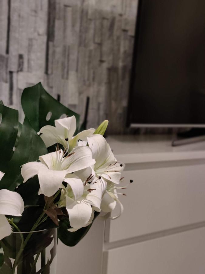 Arena Apartment - Own Sauna, In The Heart Of Tampere Near To Nokia Arena Luaran gambar